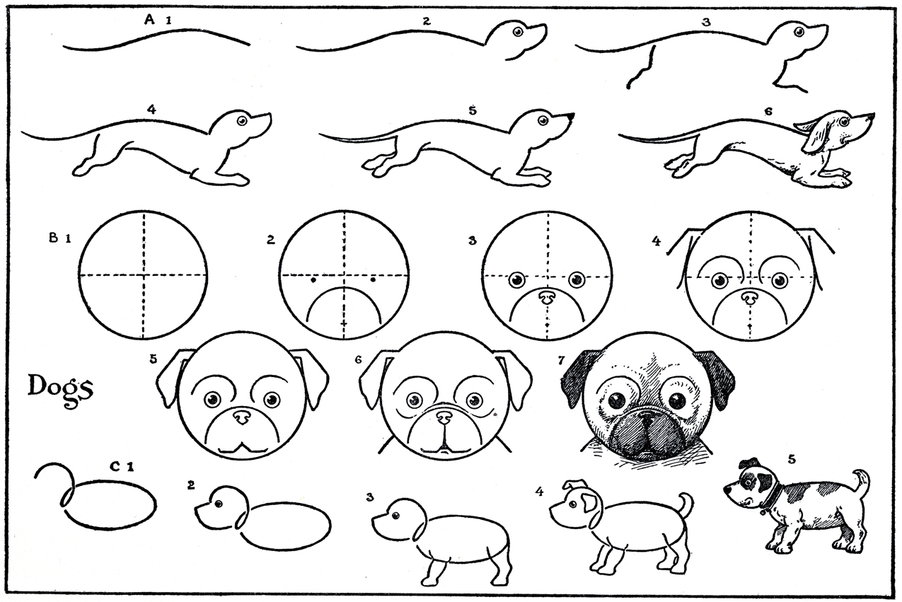 Kids Printable - Draw Some Dogs - Pug - Dachshund - The Graphics Fairy1275 x 851