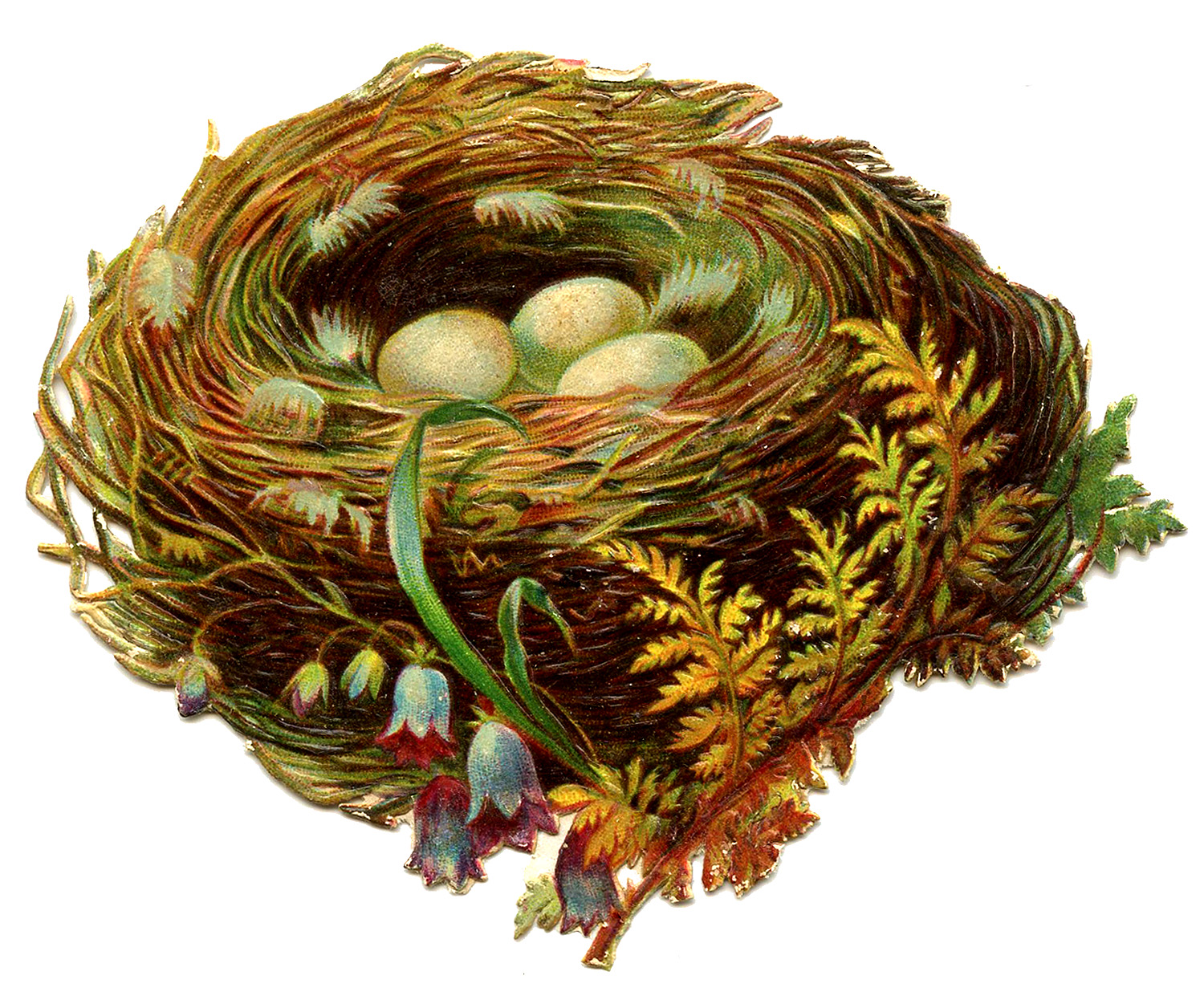clipart picture of nest - photo #12