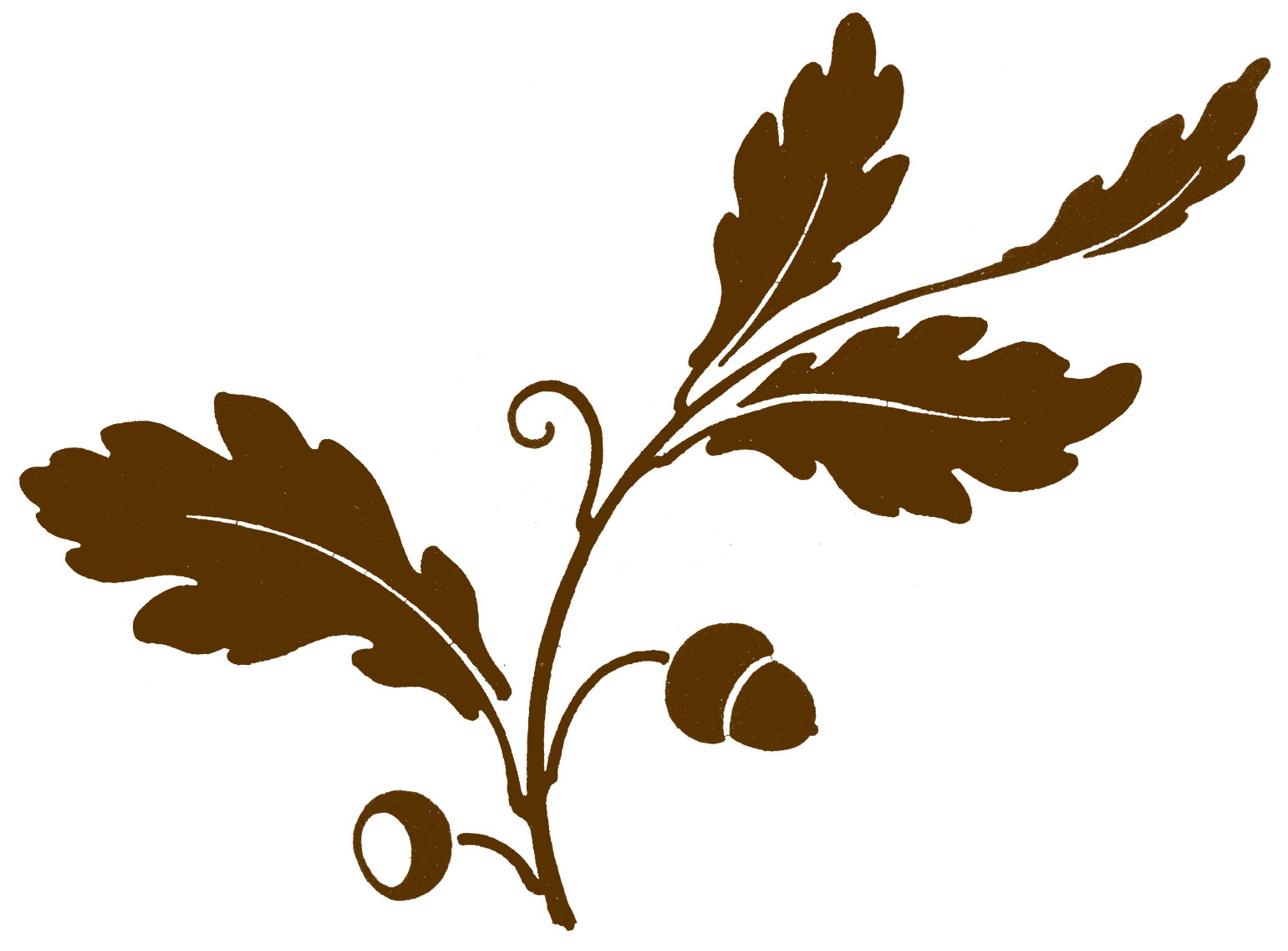 clip art oak leaf silhouette - photo #2