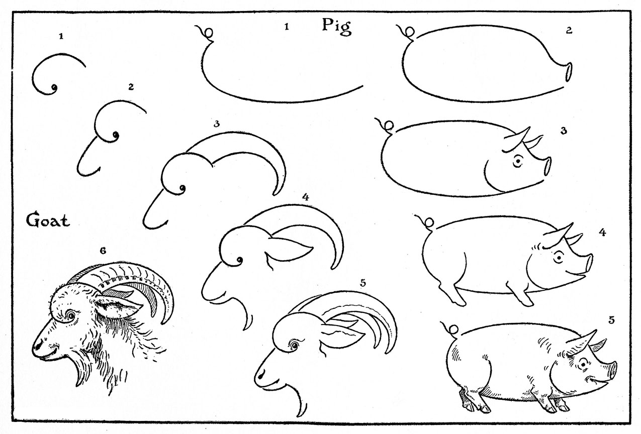 How to Draw - Animals - Pigs - Goats - The Graphics Fairy