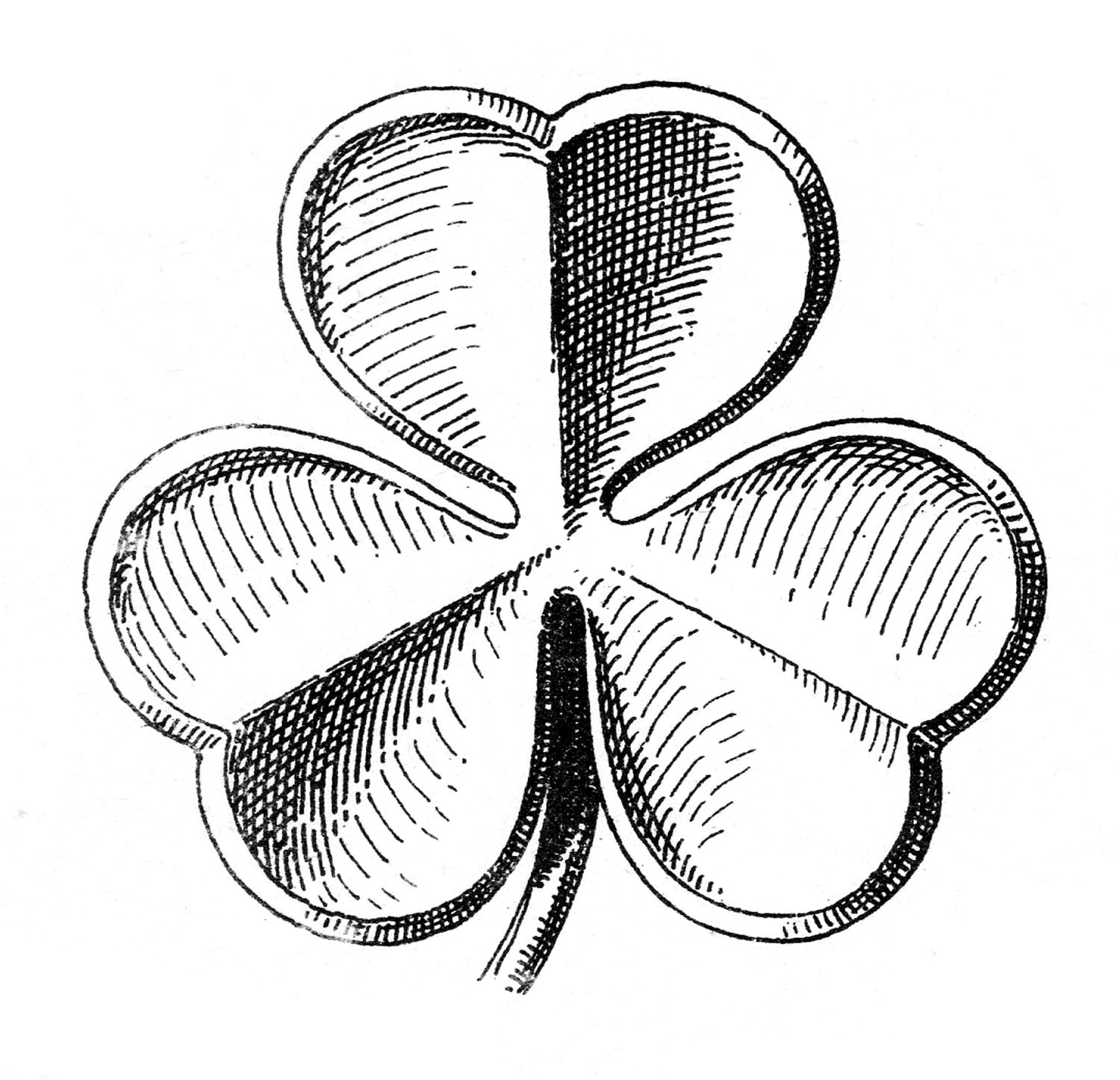 Public Domain Clip Art - Shamrocks - St. Patrick's Day - The Graphics Fairy