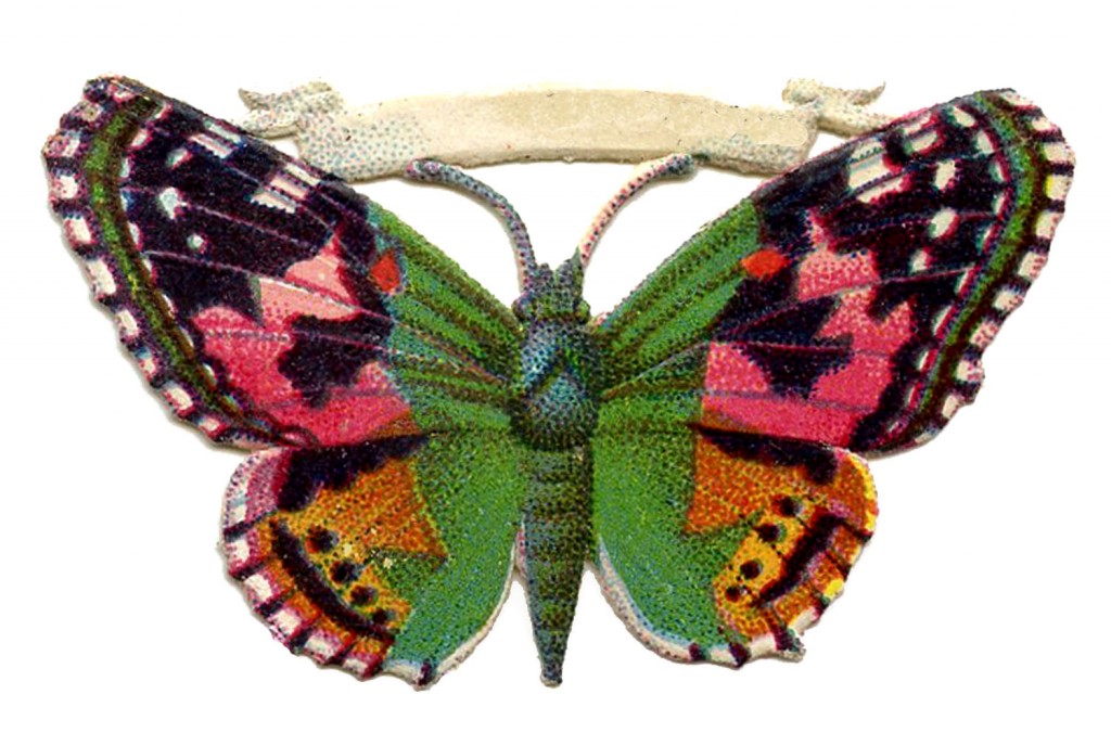 Free Vintage Butterfly  Image Scrap