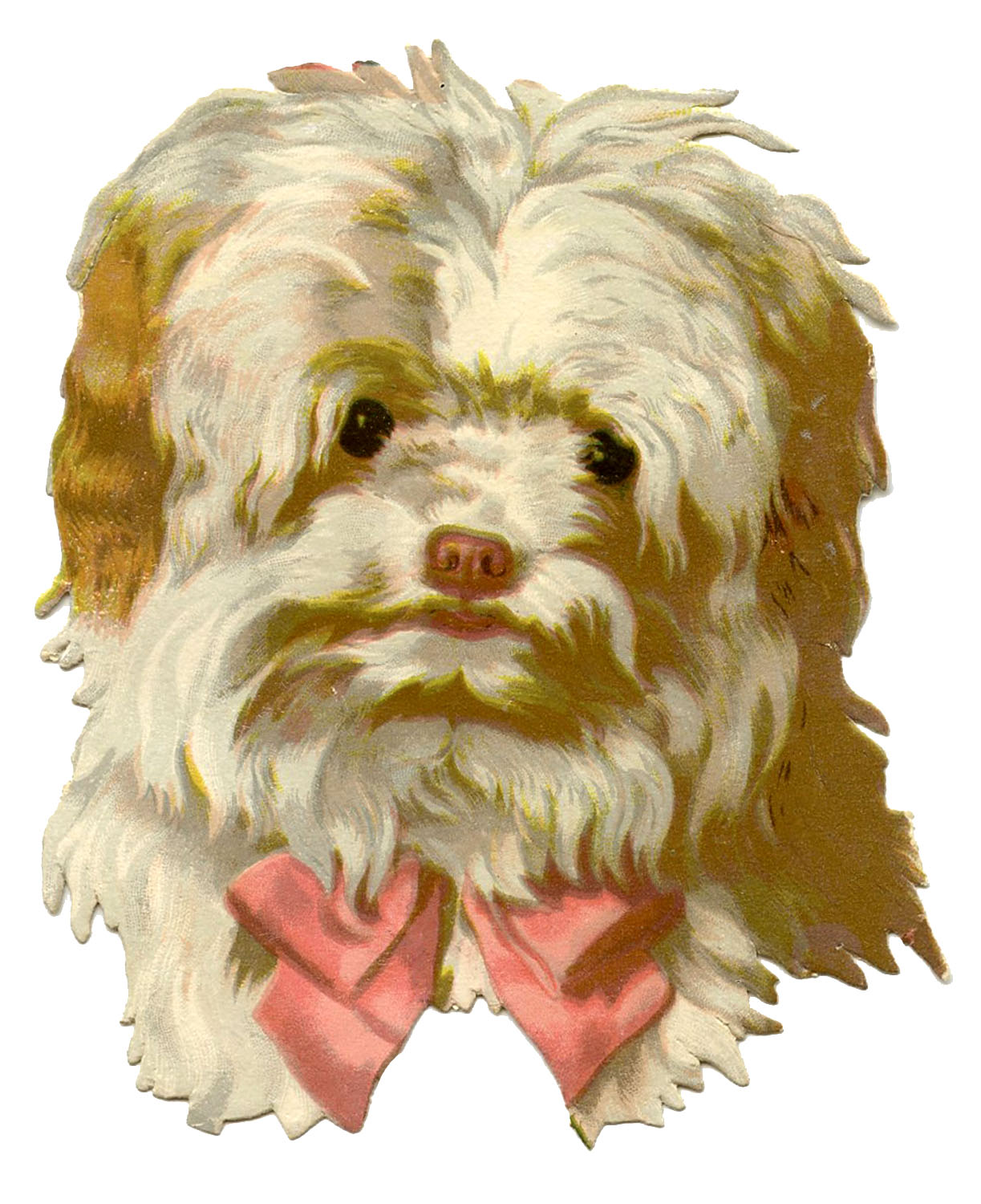http://thegraphicsfairy.com/wp-content/uploads/2013/06/Vintage-Dog-Image-Scruffy-GraphicsFairy.jpg