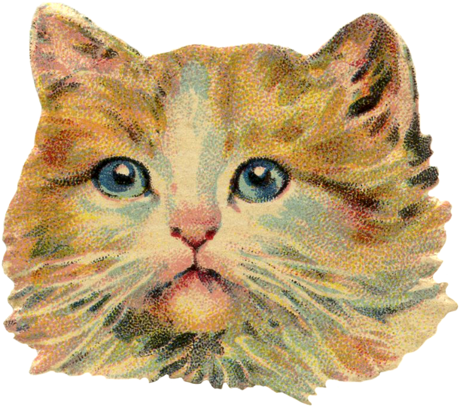 Vintage Cat Image Free - The Graphics Fairy