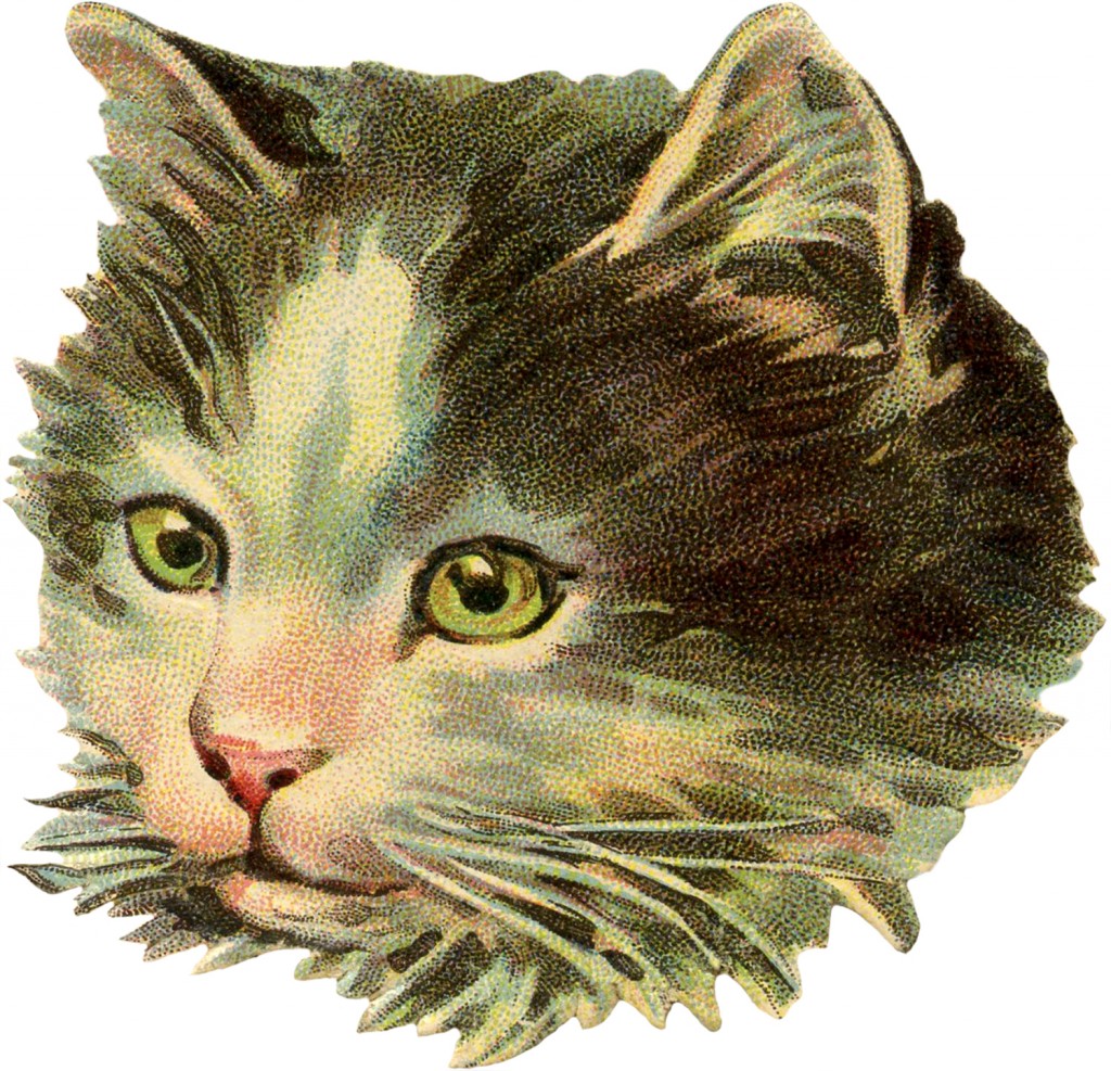 free vintage cat clipart - photo #18
