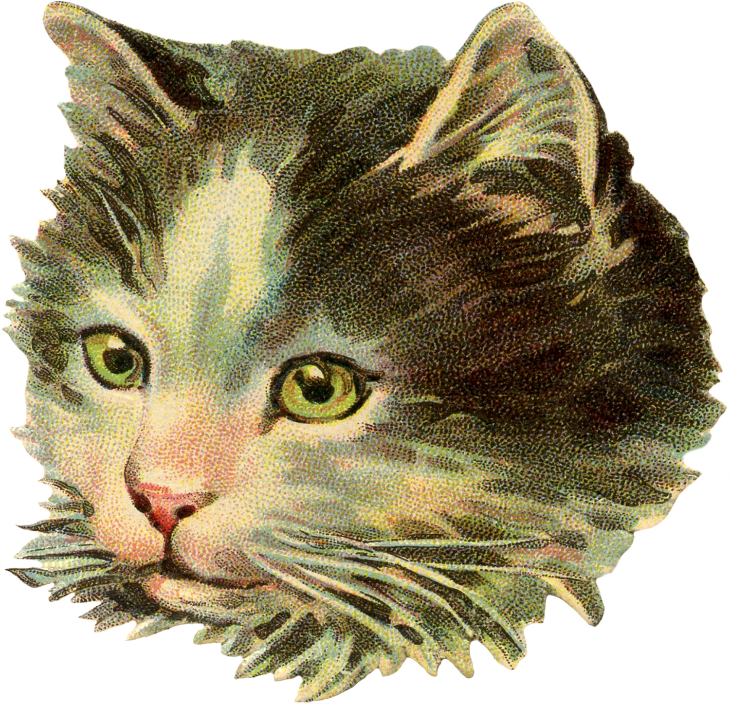 vintage kitten clipart - photo #34