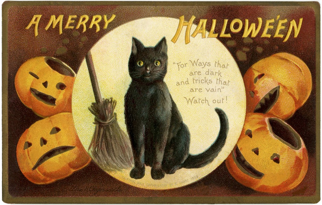 Vintage Halloween Cat Image