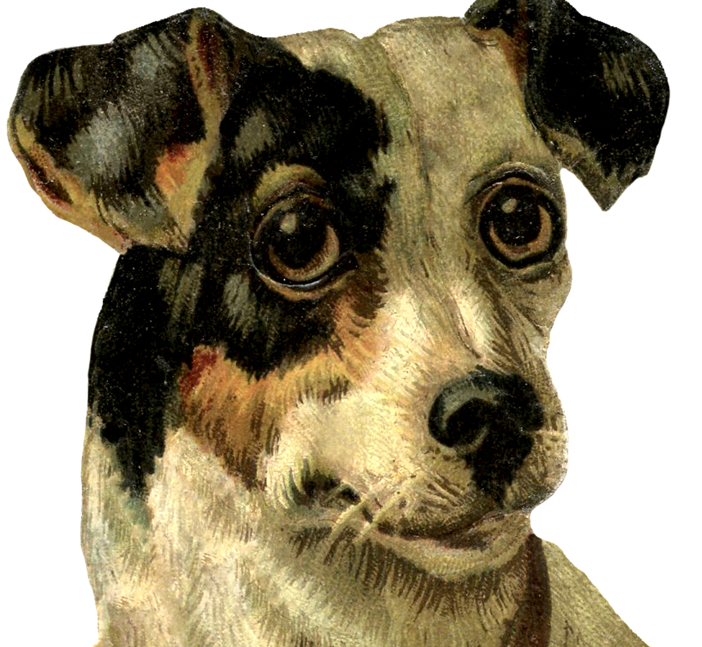 Printable Clip Art Pictures Of Vintage Dogs