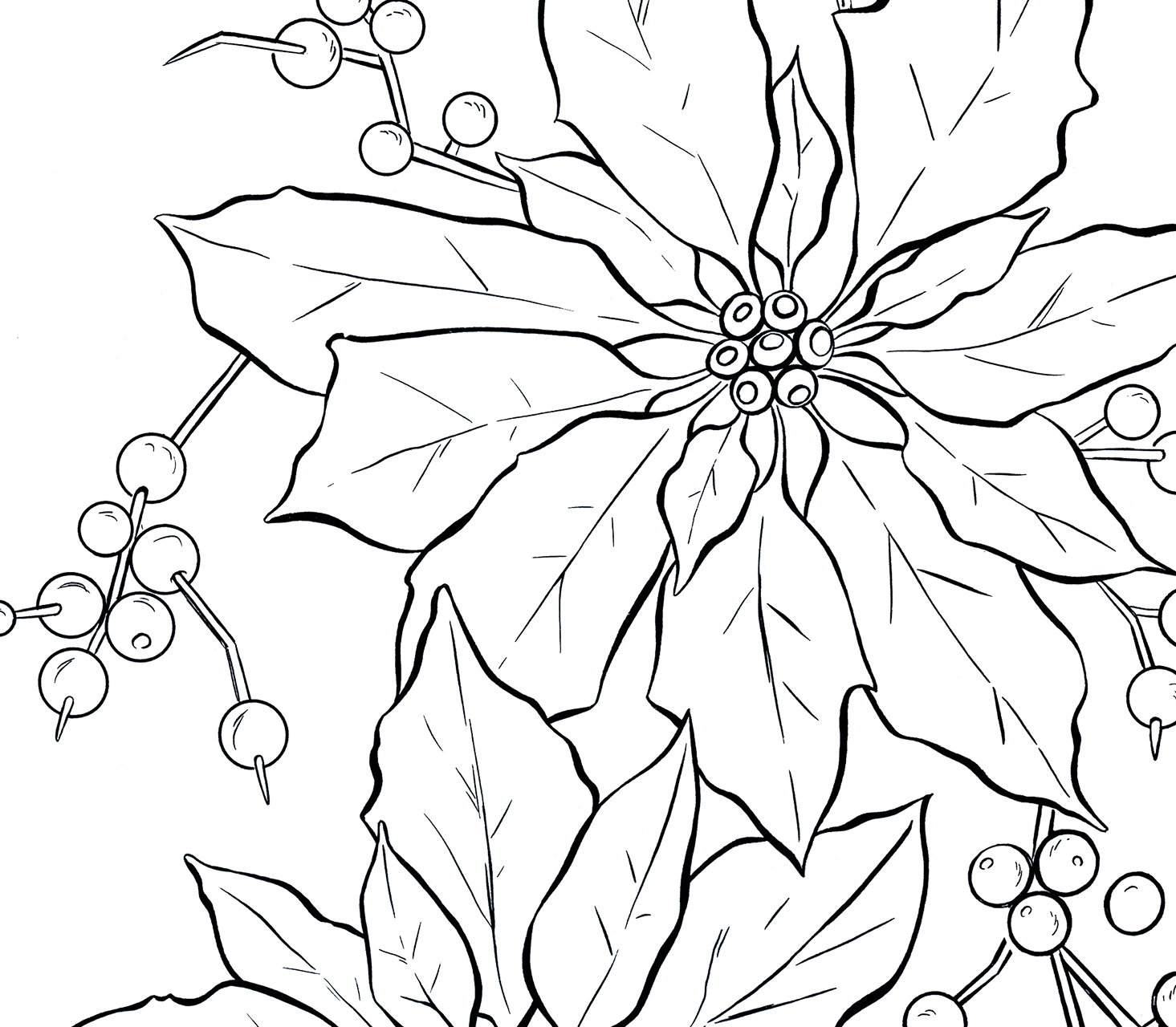 Poinsettia Line Art Christmas The Graphics Fairy