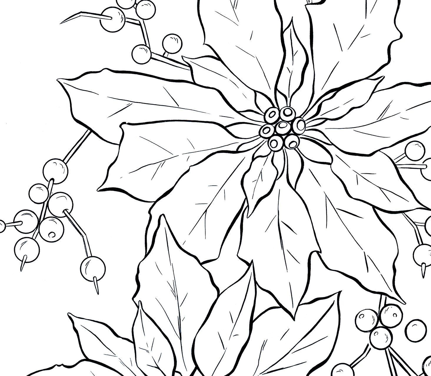 free black and white poinsettia clipart - photo #44