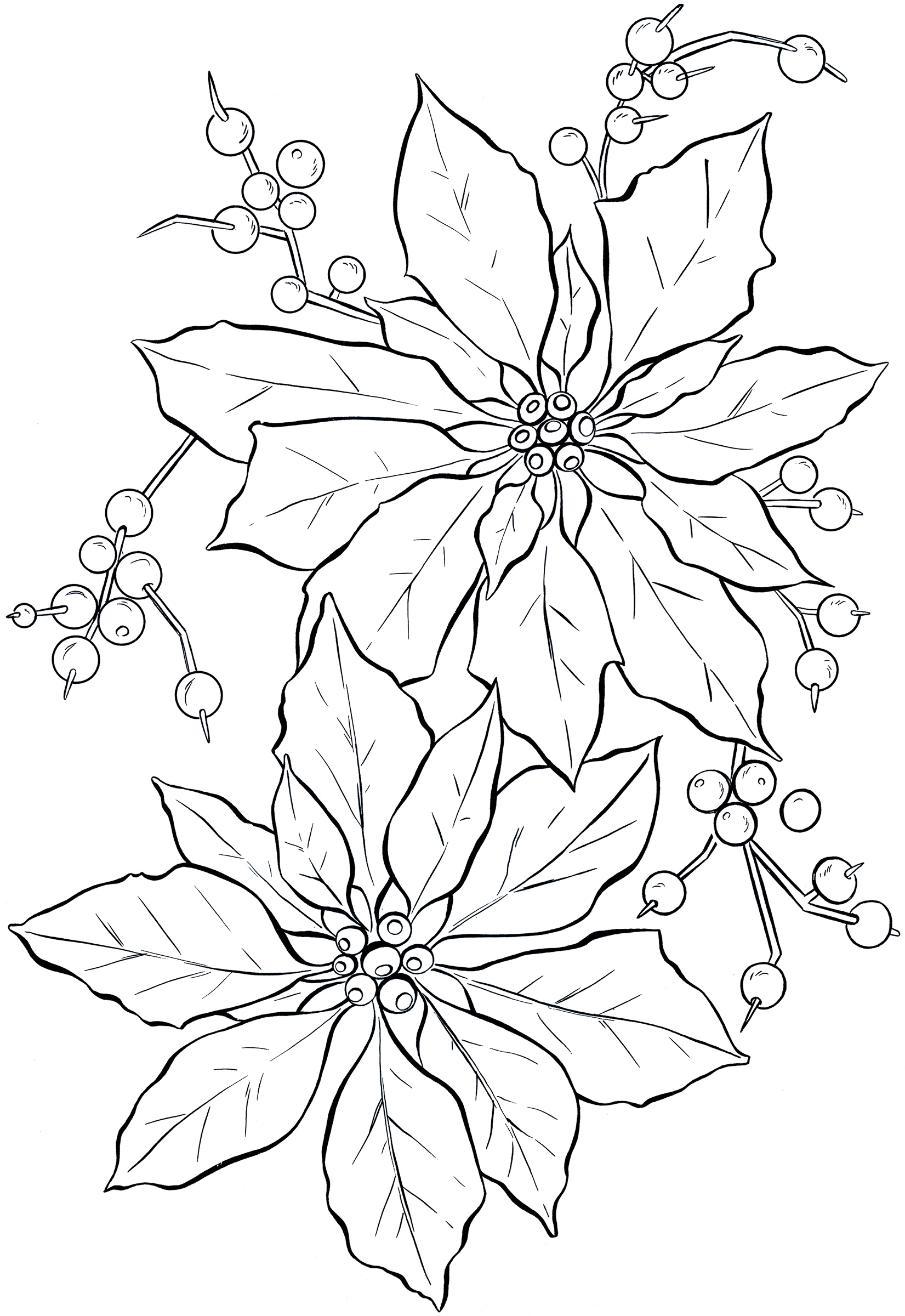 Poinsettia Line Art Christmas The Graphics Fairy