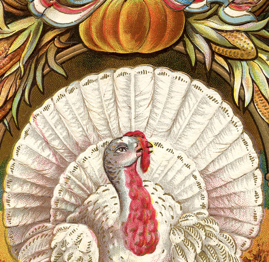 Thanksgiving Clip Art - White Turkey - The Graphics Fairy