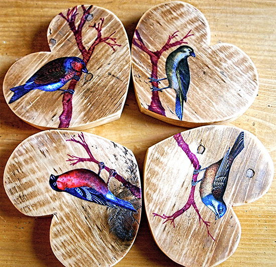 DIY Bird Coasters
