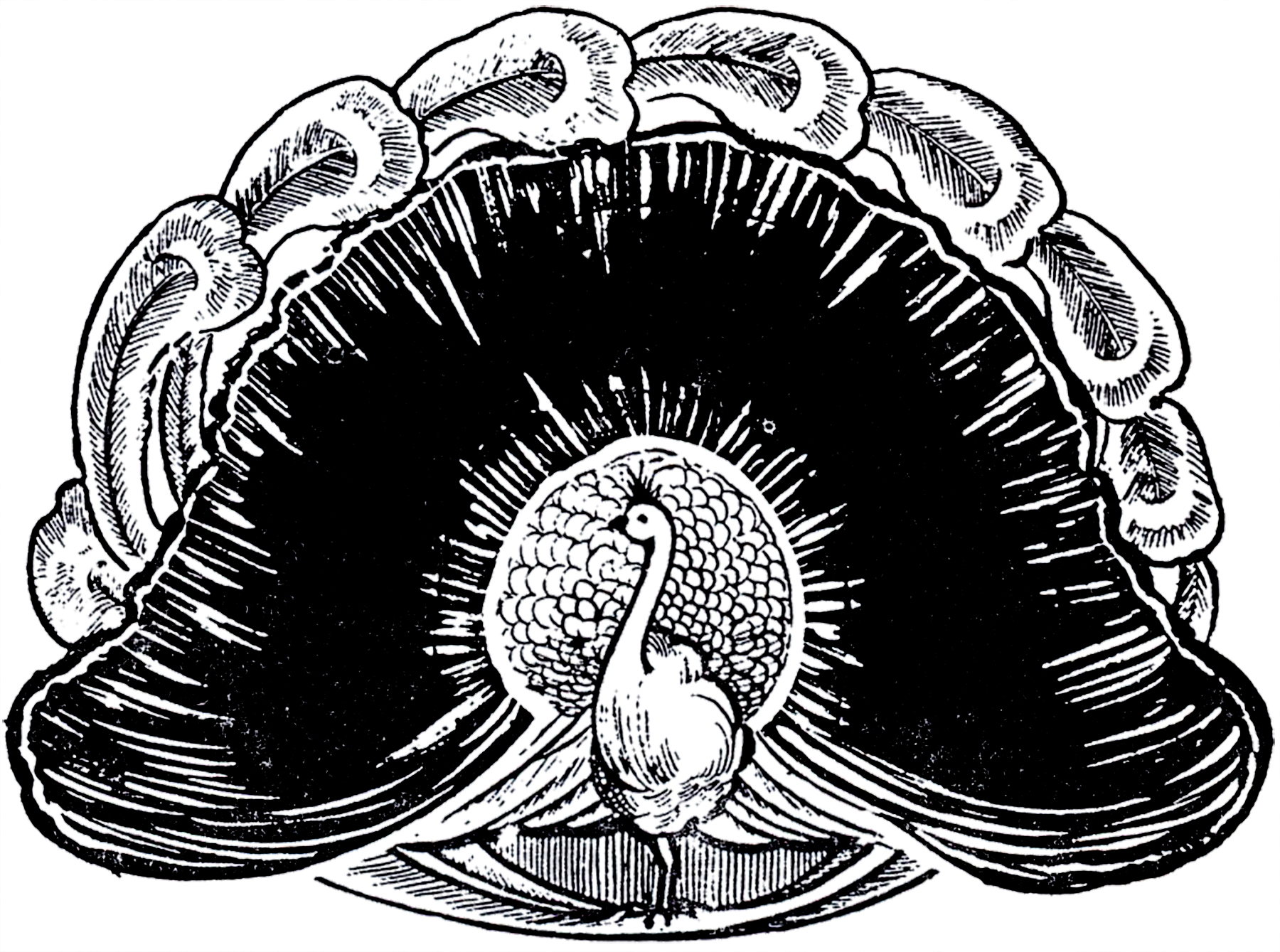 Black and White Peacock Tattoo Designs