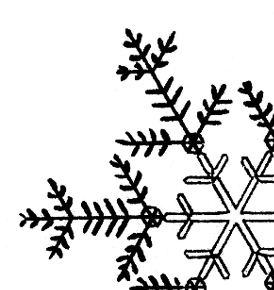 free black and white snowflake clipart - photo #12
