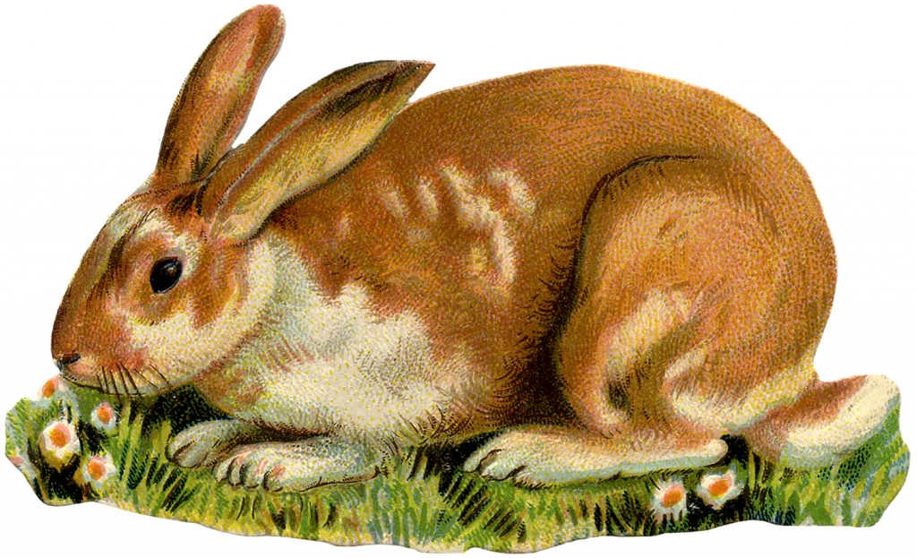 Vintage Spotted Bunny Image