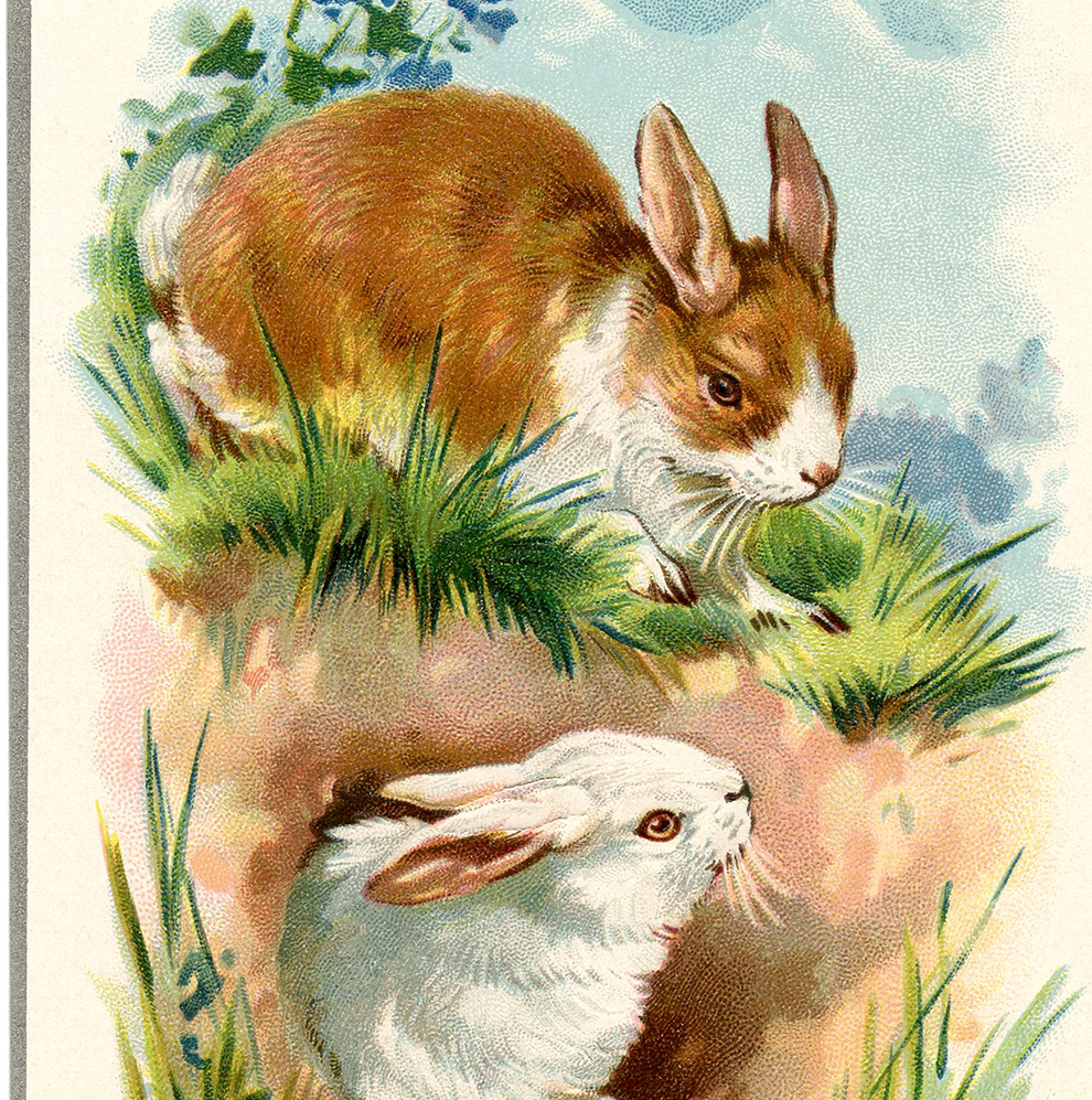 Vintage Easter Bunnies Card - The Graphics Fairy