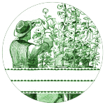 Garden Mason Jar Labels  //  The Graphics Fairy