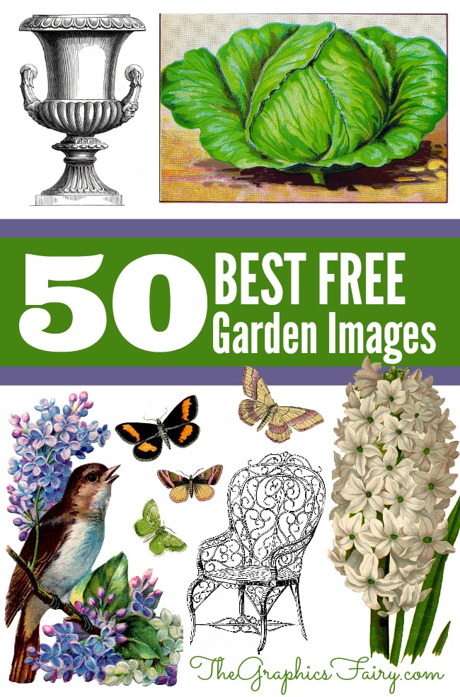 free garden fairy clipart - photo #41