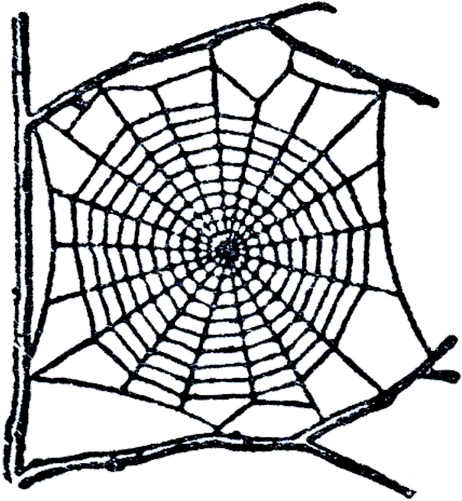 spider net clipart - photo #6
