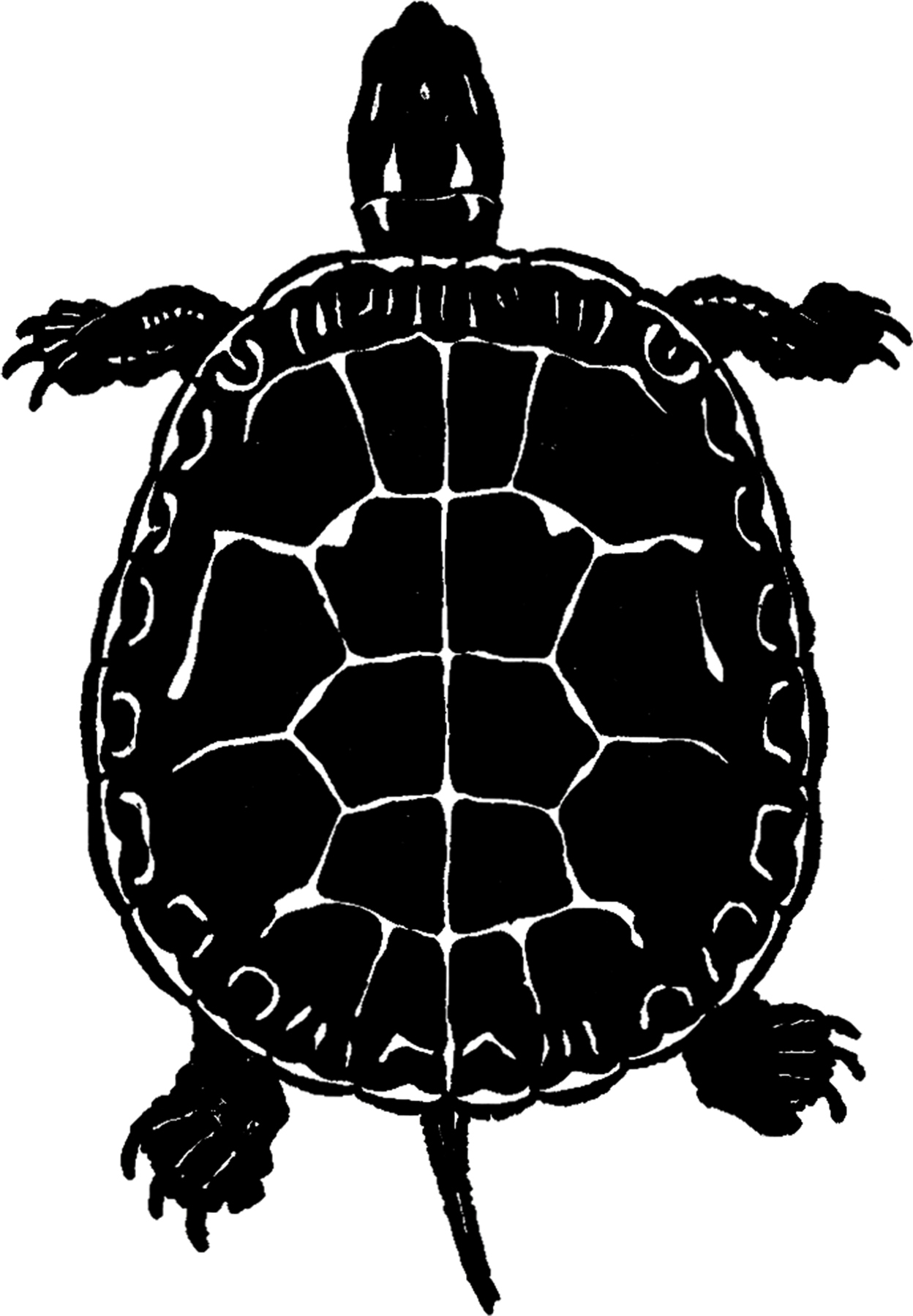 clipart sea turtle silhouette - photo #28