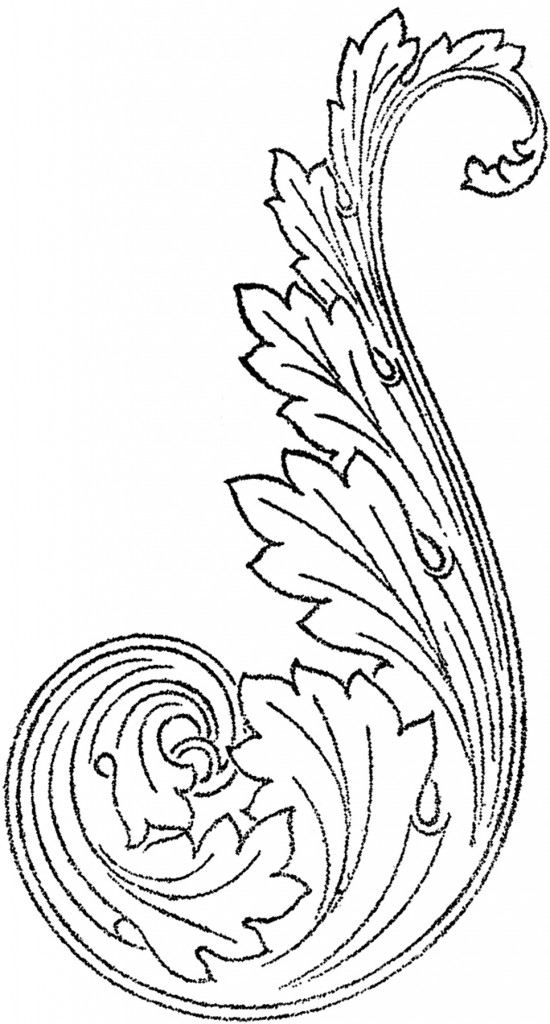 leaf scroll clip art - photo #48