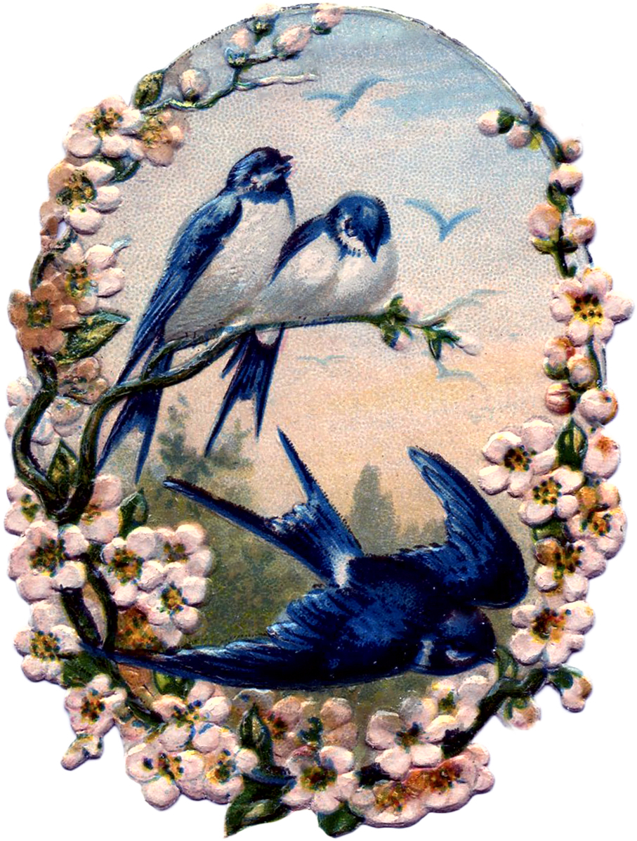 Vintage Birds with Flowers Scrap - Pretty! - The Graphics ...