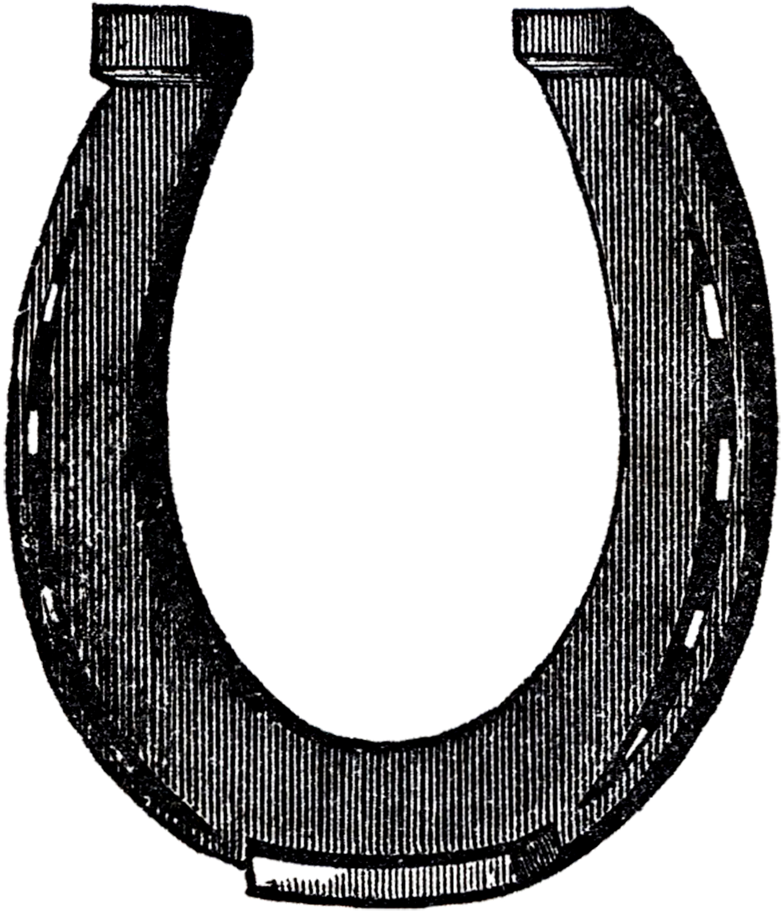 clipart horseshoe - photo #48