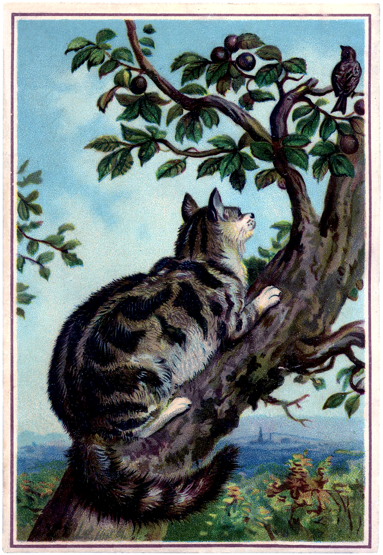 clipart cat in tree - photo #35