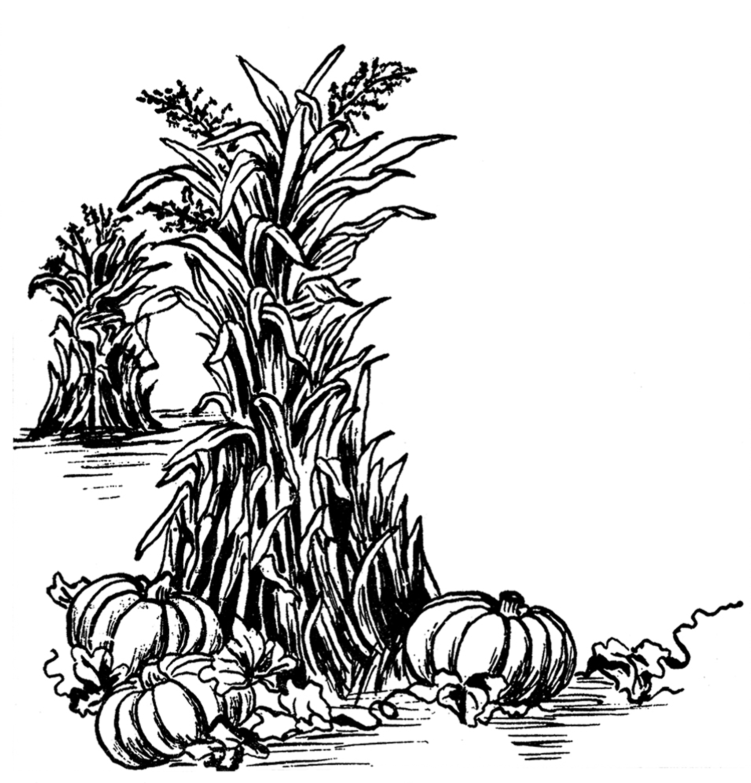 free black and white harvest clipart - photo #3