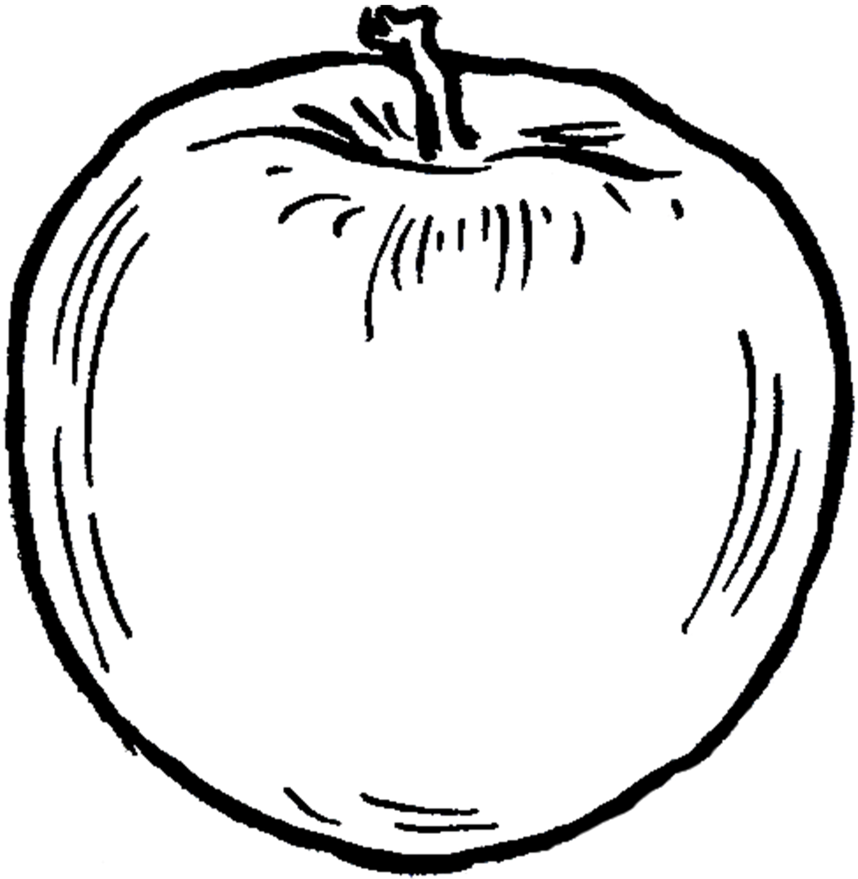 Vintage Apple Line Drawing Image! - The Graphics Fairy