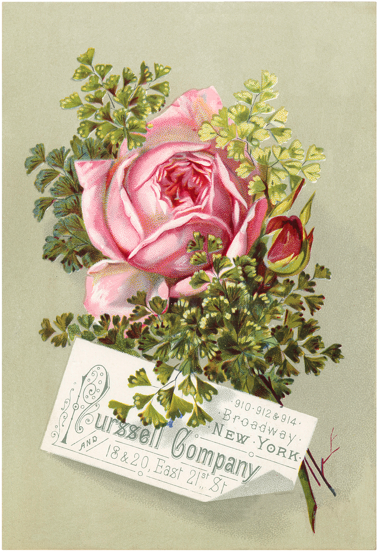Beautiful Vintage Pink Rose Image! - The Graphics Fairy1235 x 1800