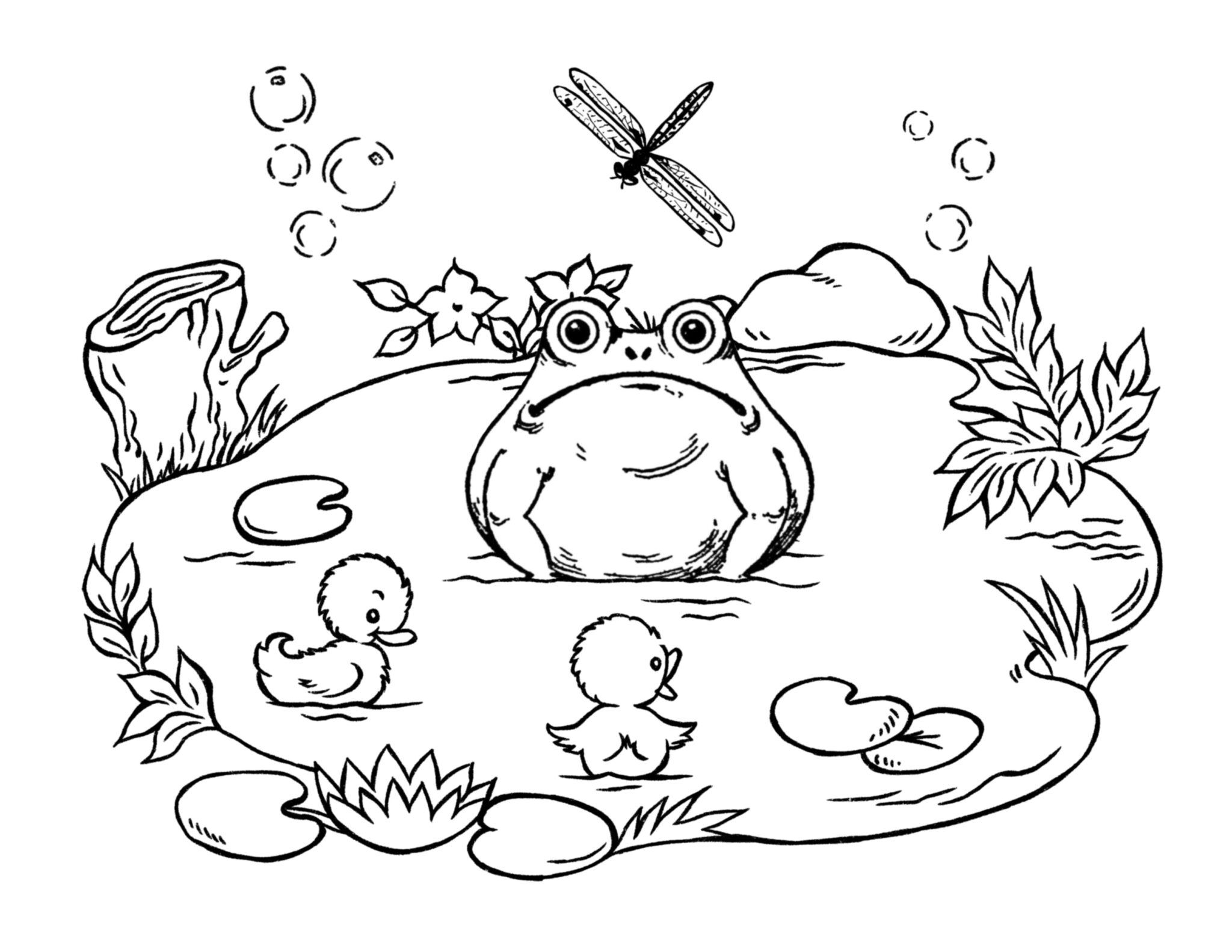 4 Frog Coloring Pages The Graphics Fairy