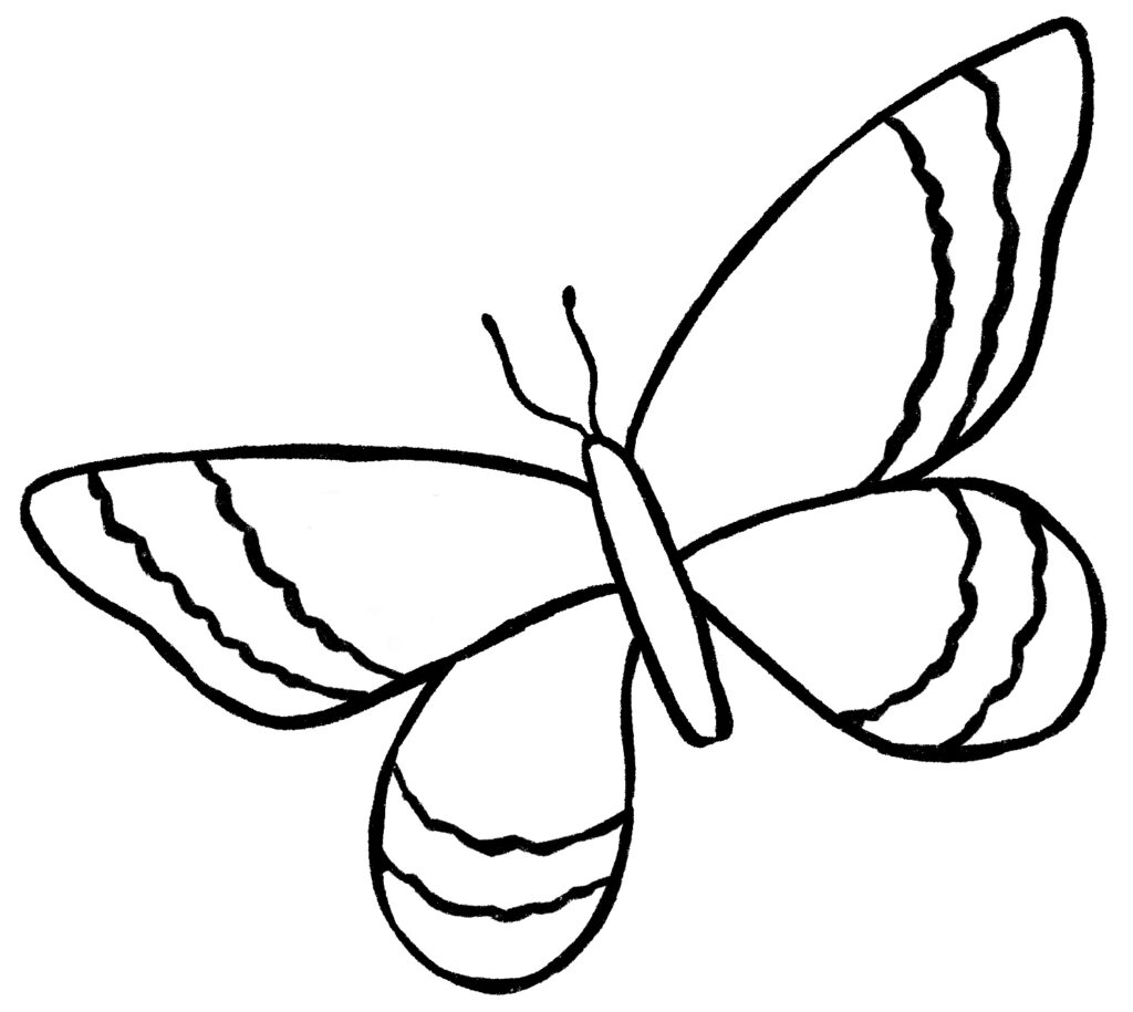 Butterfly Drawing 6 Easy Steps The Graphics Fairy