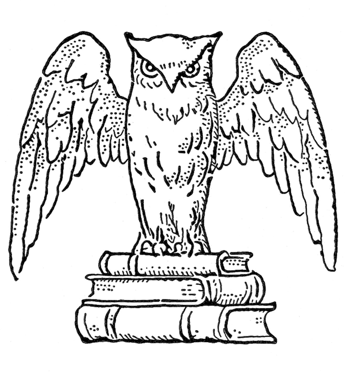 owl clipart black and white - photo #47