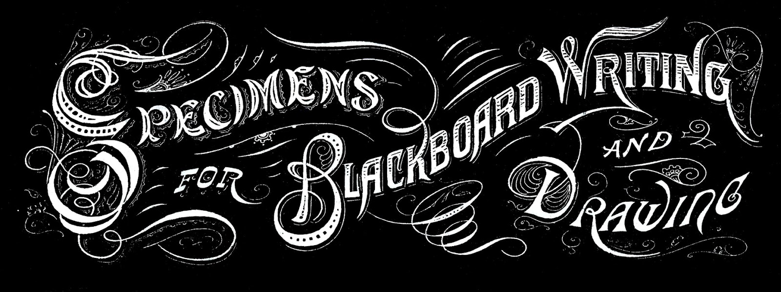 specimen chalkboard text GraphicsFairy