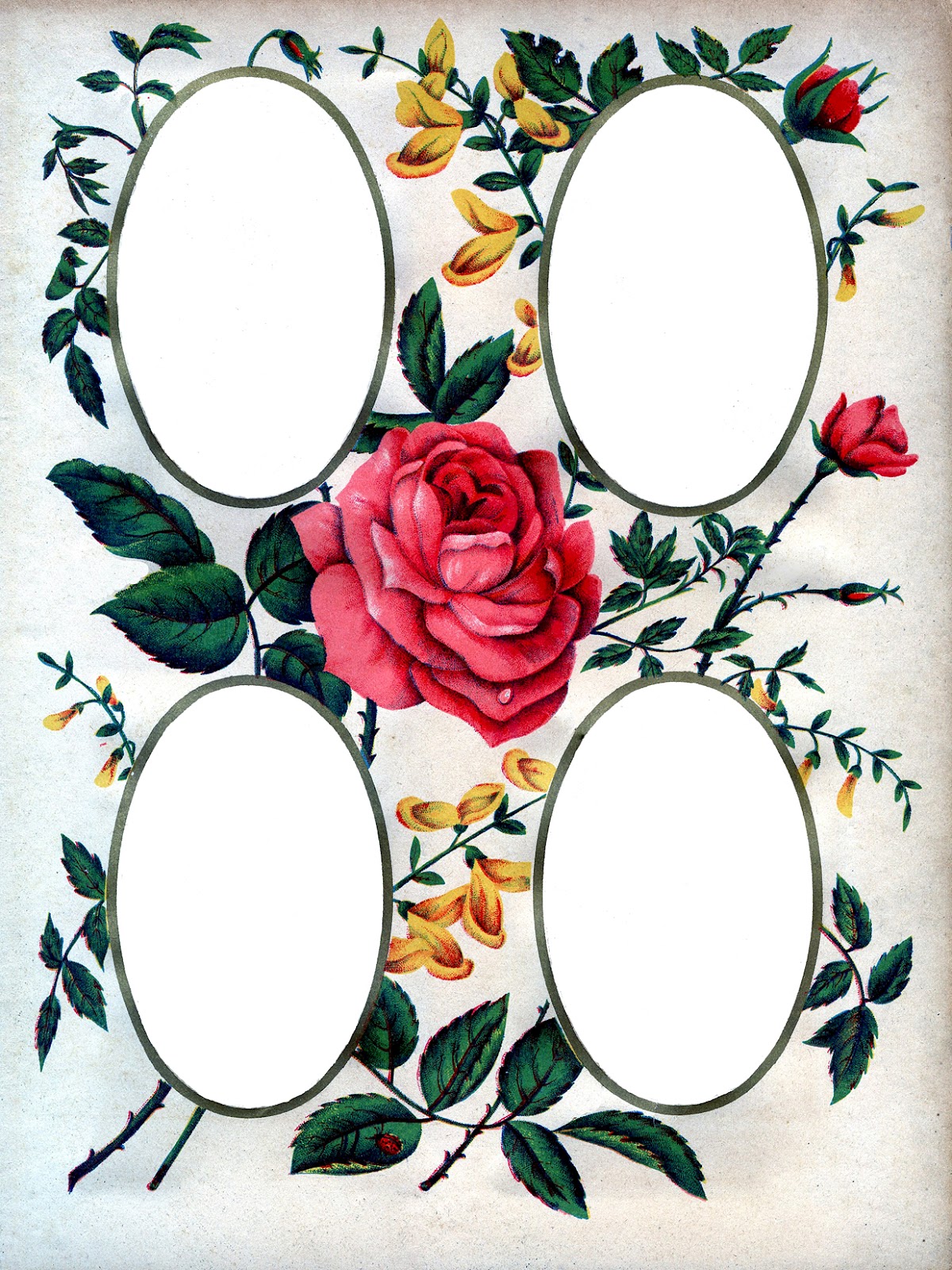 Victorian Album Page Printable - Roses - The Graphics Fairy1200 x 1600