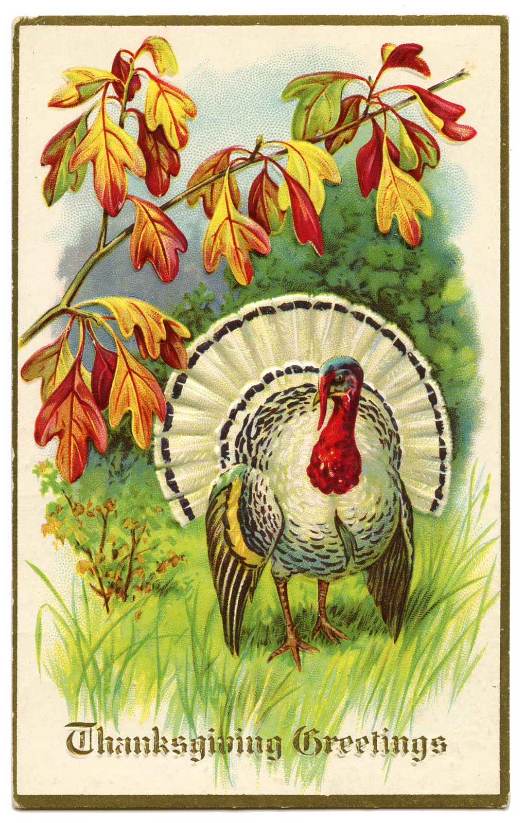 Vintage Thanksgiving Clip Art - White Turkey - The Graphics Fairy