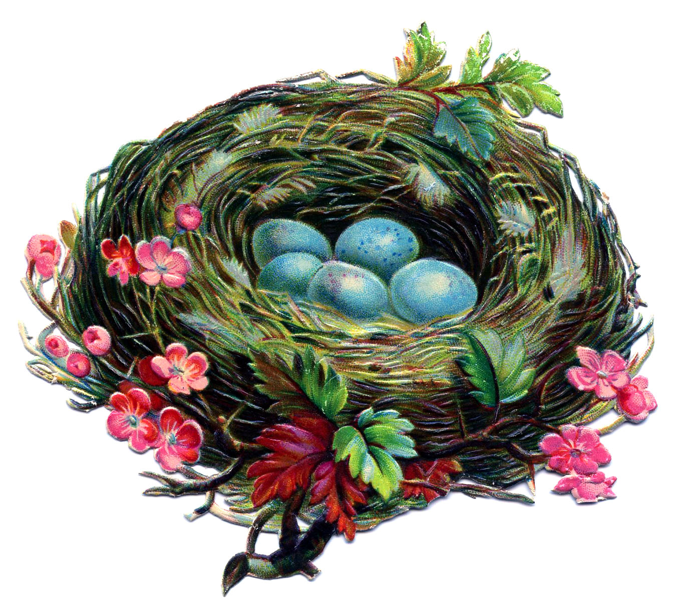 clipart picture of nest - photo #19
