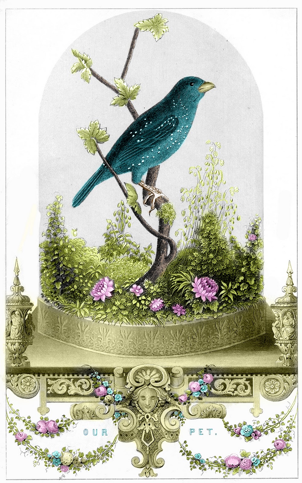 the-graphics-fairy-llc-vintage-printable-breathtakingly-beautiful-bird-in-cloche