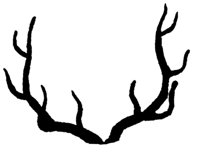 free clip art deer antlers - photo #6