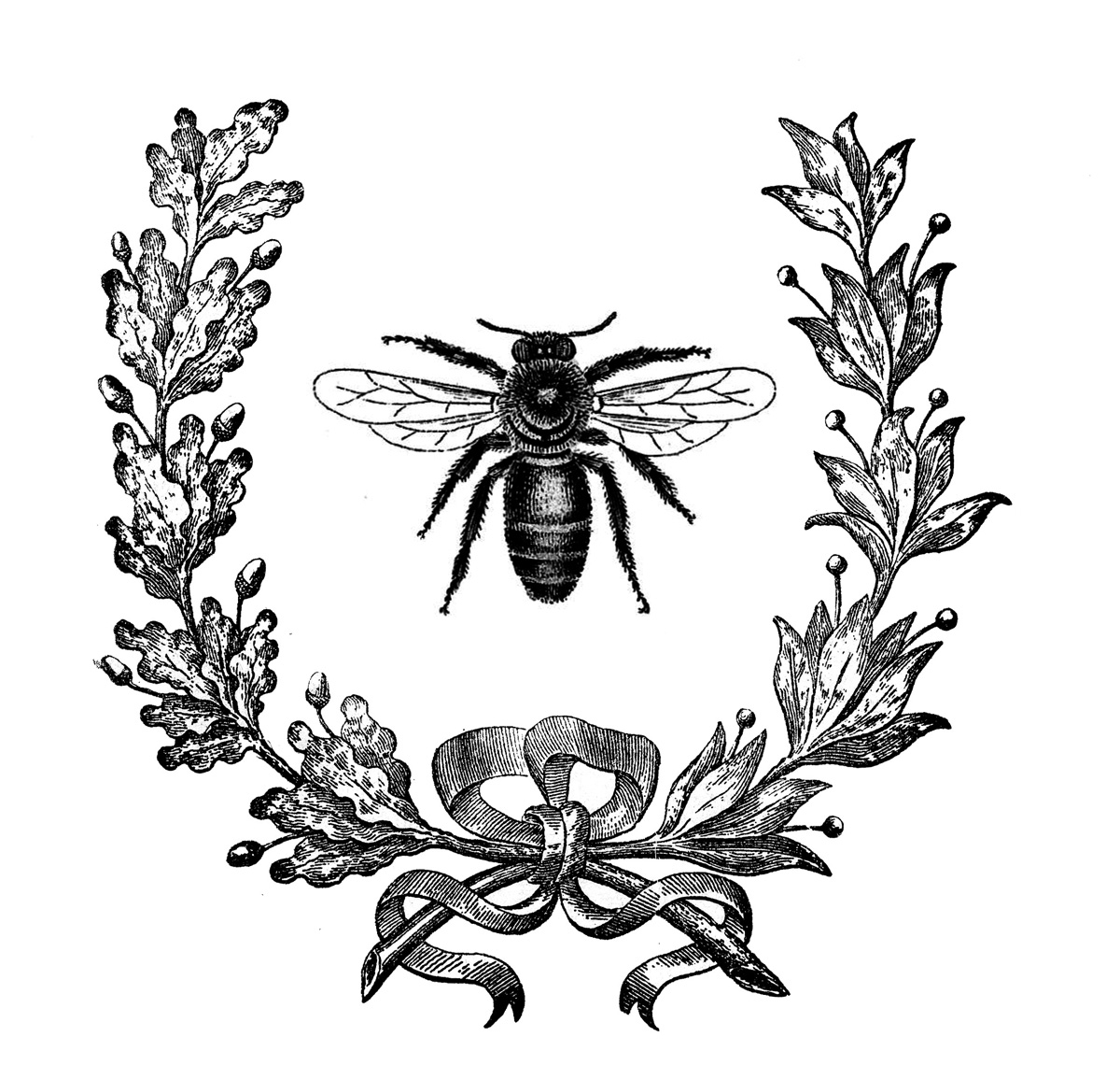 vintage bee clip art - photo #3