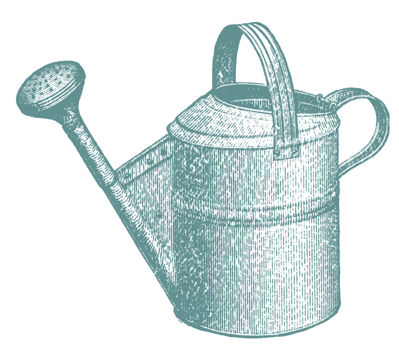 clipart watering can - photo #10