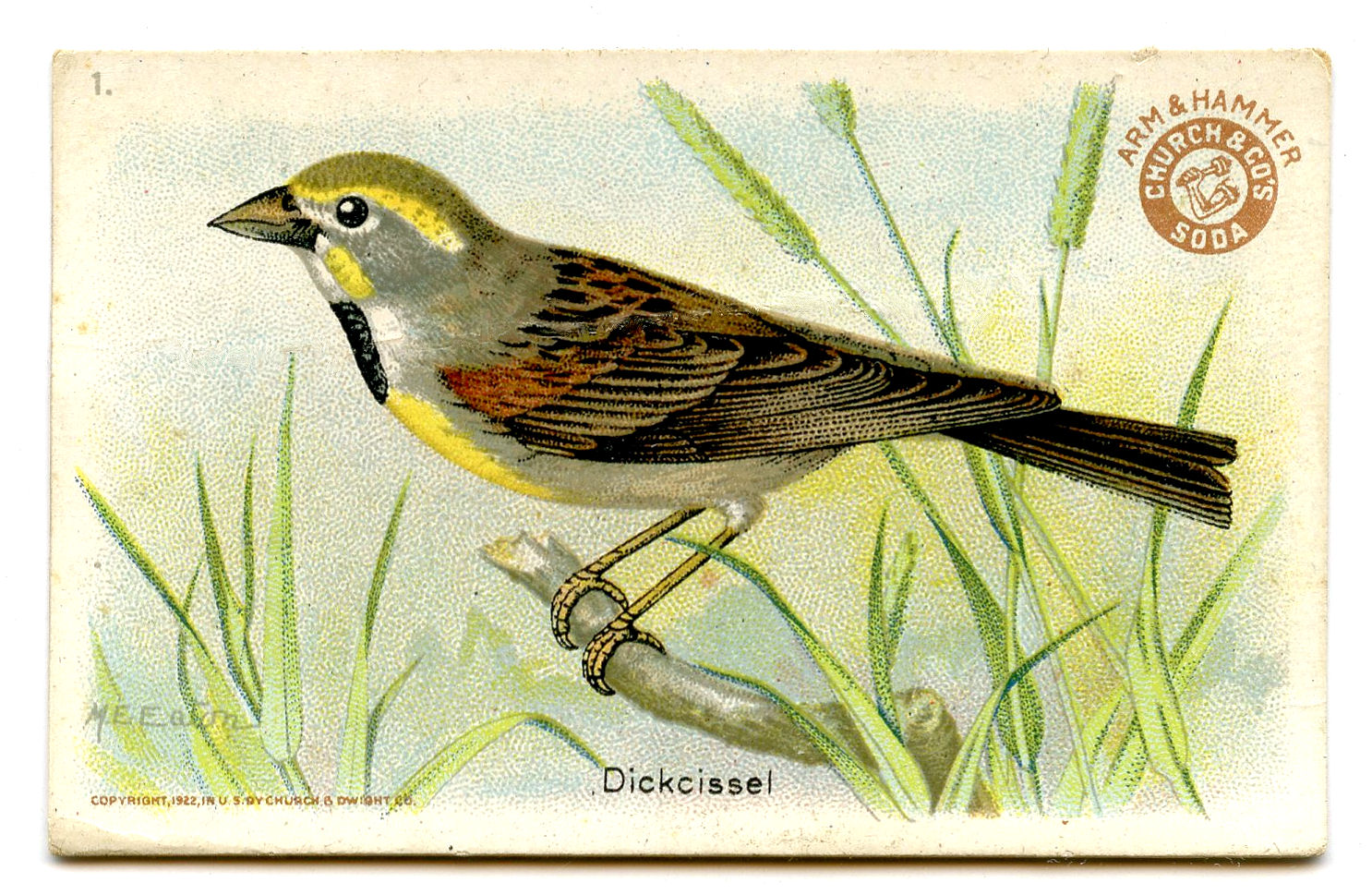 clipart vintage birds - photo #44