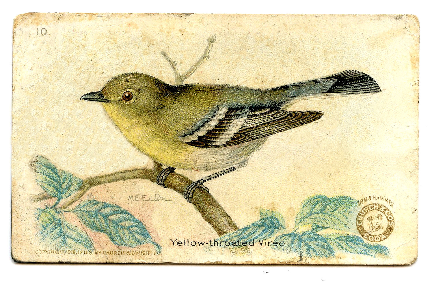 Free Vintage Clip Art 3 More Bird Advertising Cards