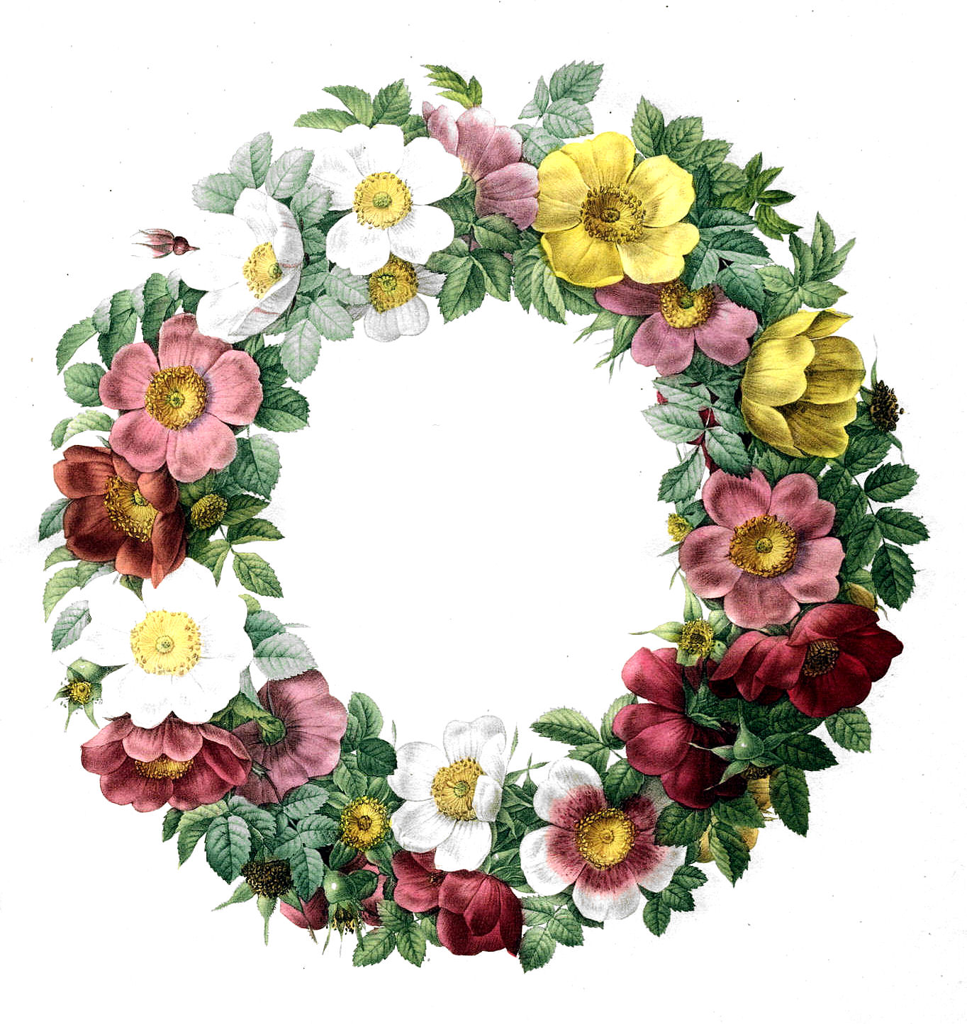 clipart flower wreath - photo #17