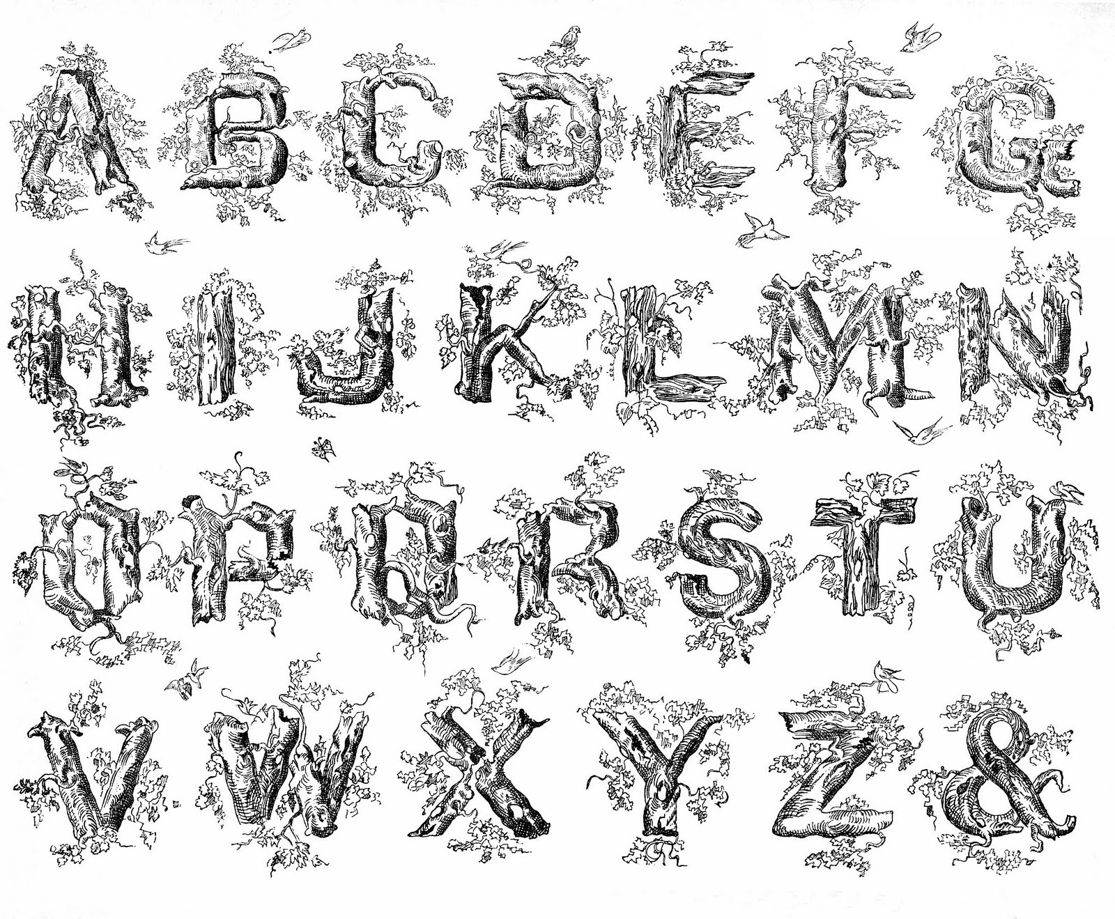 free calligraphy alphabet clipart - photo #11