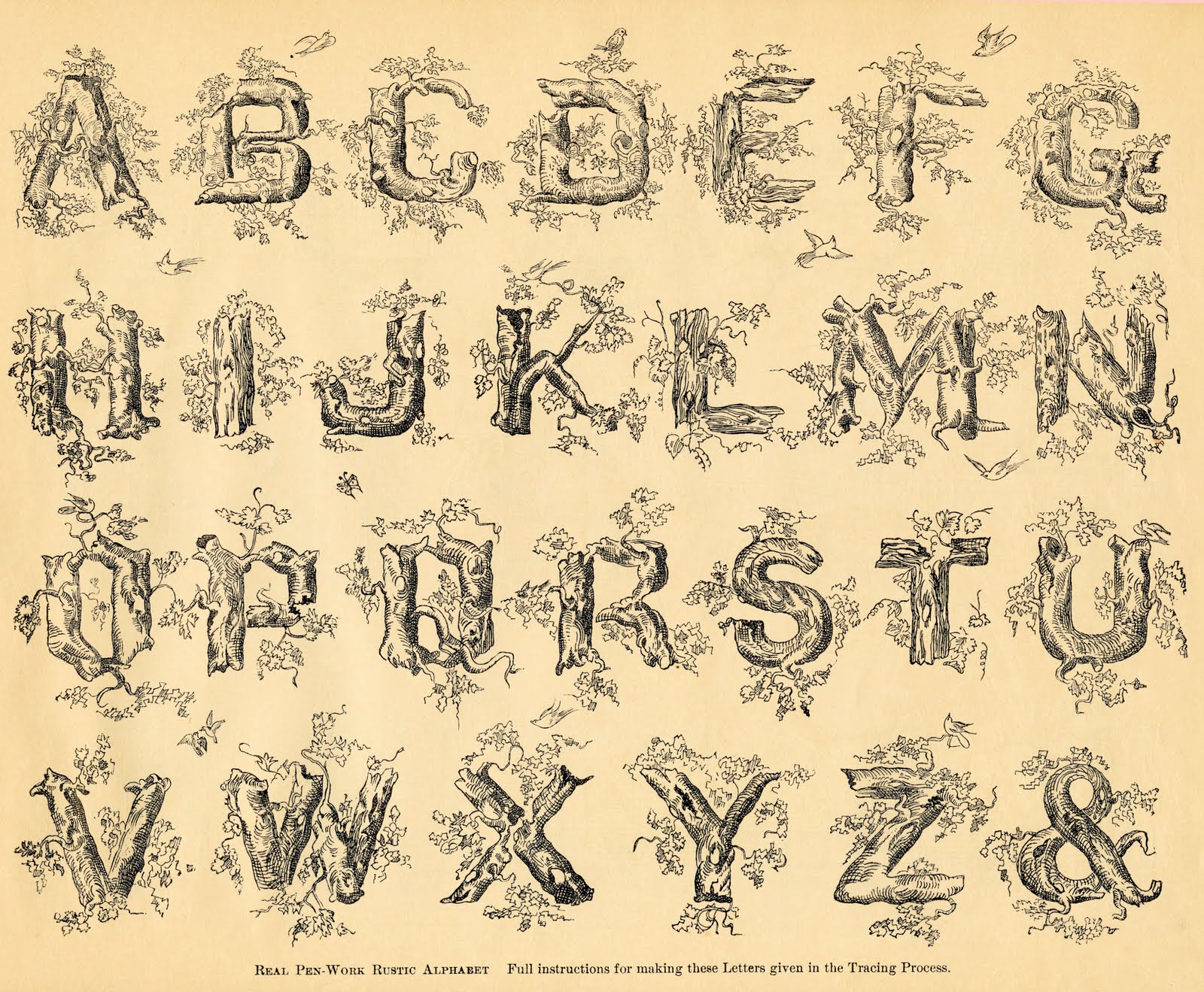 free calligraphy alphabet clipart - photo #10