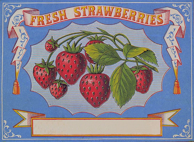 vintage strawberry clipart - photo #45