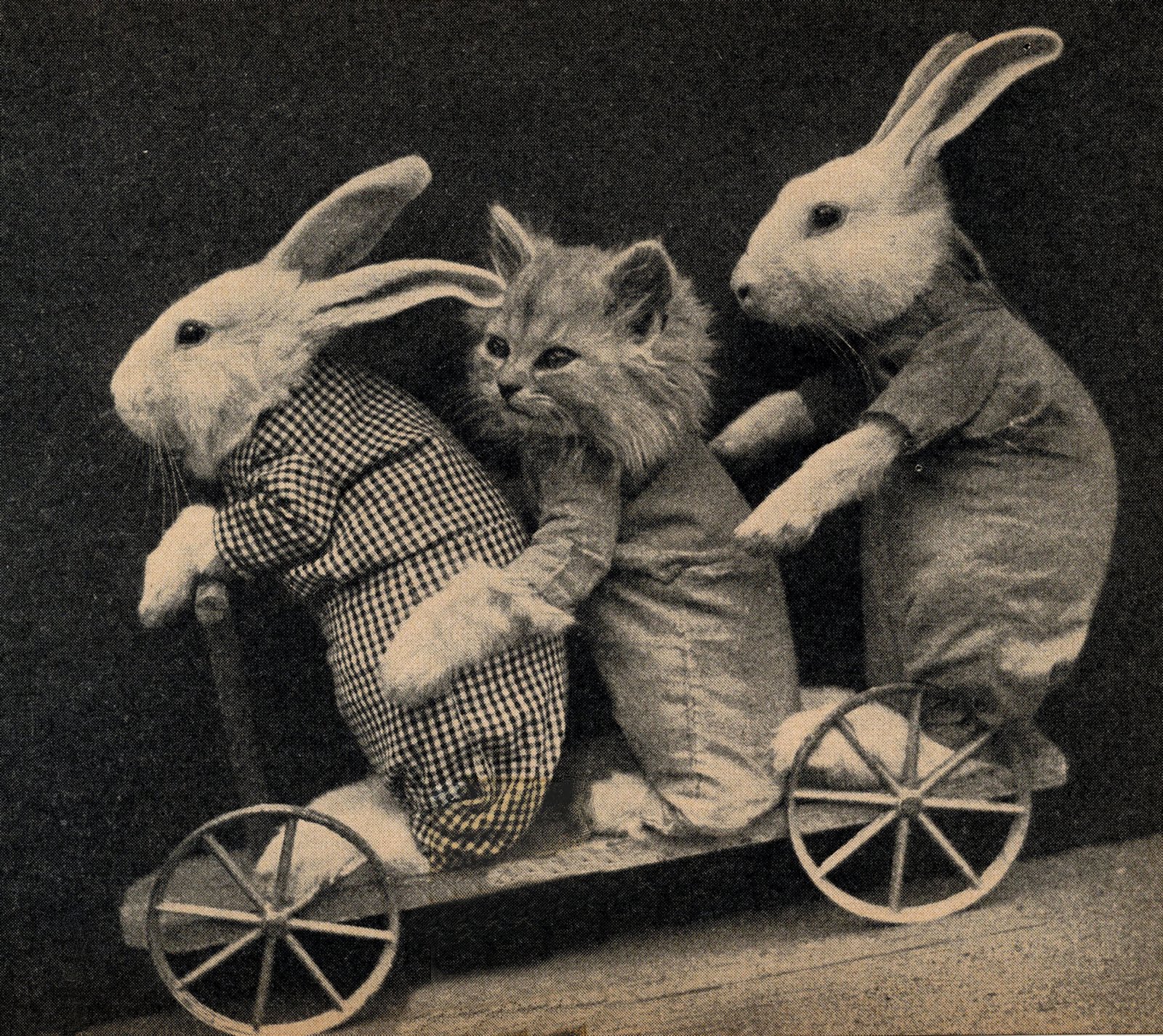 vintage rabbit clip art - photo #13